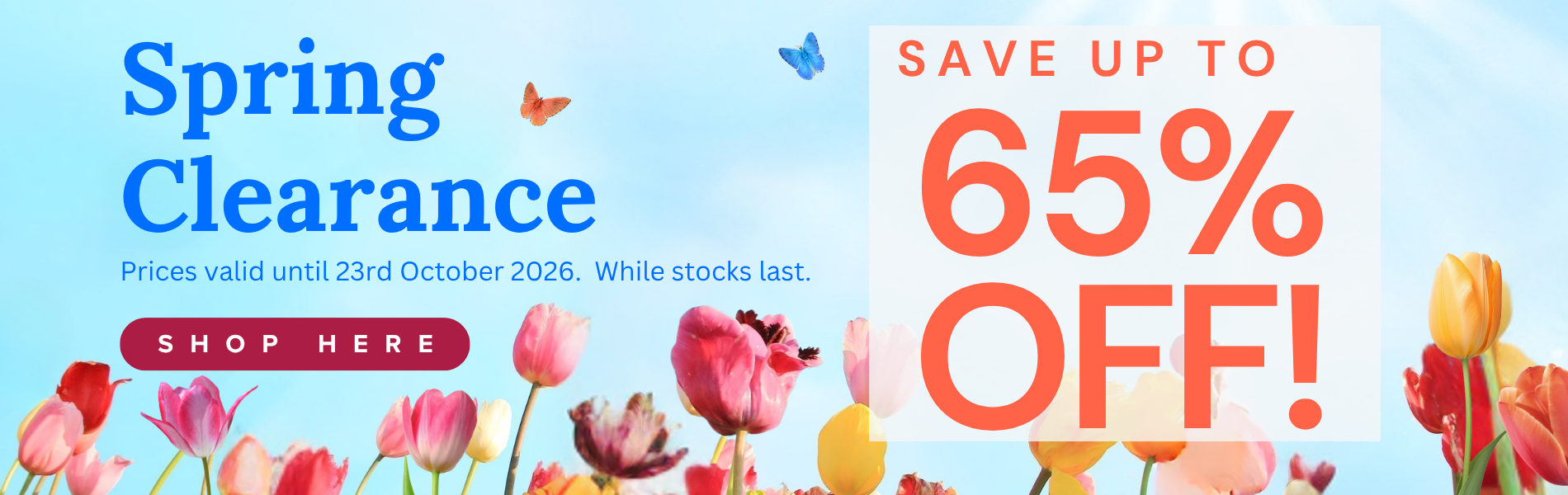 Spring Clearance Web banner